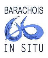 barachois_in_situ